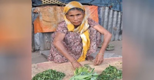 ১৫ বছর ধরে কুড়িয়ে আনা শাক বিক্রি করেন বৃদ্ধা সাহেরা খাতুন