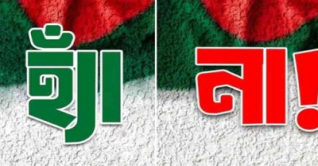 গণভোটের প্রশ্নটির অর্থ কী, হ্যাঁ কিংবা না জিতলে যা হবে