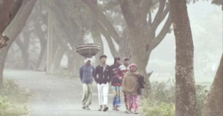 শীতের হাওয়া হঠাৎ ছুটে এলো...