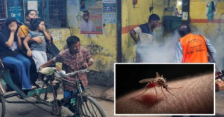 ডেঙ্গুতে একদিনে ৮ মৃত্যু, হাসপাতালে ৭৭৮