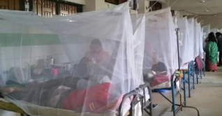 ডেঙ্গুতে দুজনের মৃত্যু, হাসপাতালে ভর্তি ৫৬৫