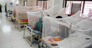 ডেঙ্গুতে মৃত্যুশূন্য দিনে হাসপাতালে ভর্তি ৪৮৬