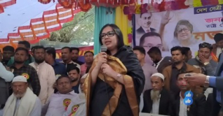 মার্কা যাই হোক, নির্বাচন করব: রুমিন ফারহানা