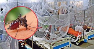 ডেঙ্গুতে সর্বোচ্চ রোগী, প্রস্তুতির ঘাটতিতে বিপর্যয়