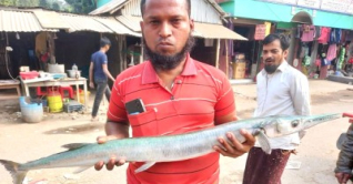 পুকুরে ধরা পড়ল ৮ কেজি ওজনের কাকিলা মাছ পুকুরে ধরা পড়ল ৮ কেজি ওজনের কাকিলা মাছ