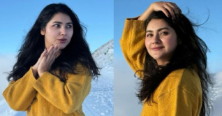 শায়নার গ্ল্যামারে আজও মুগ্ধ ভক্তরা