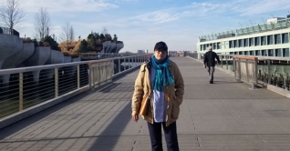 হাডসন নদীতে ভাসমান লিটল আইল্যান্ড পার্ক