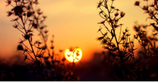 বিদায় ২০২৩, স্বাগত ২০২৪