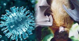 ঠাকুরগাঁওয়ে একই পরিবারের পাঁচজনের মৃত্যুর রহস্য উদঘাটন