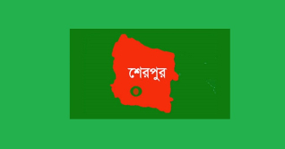 ১৬ শিক্ষার্থীকে বেদম প্রহার, দুজন হাসপাতালে