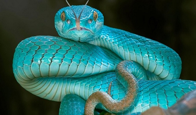 প্রতীকী ছবি