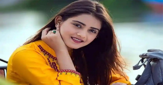 সহশিল্পীকে চড়, তানজিন তিশাকে ঘিরে সমালোচনা