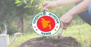 ২৫ কোটি গাছ রোপণ: বিলিয়ন ডলার আয়ের সুযোগ বাংলাদেশের
