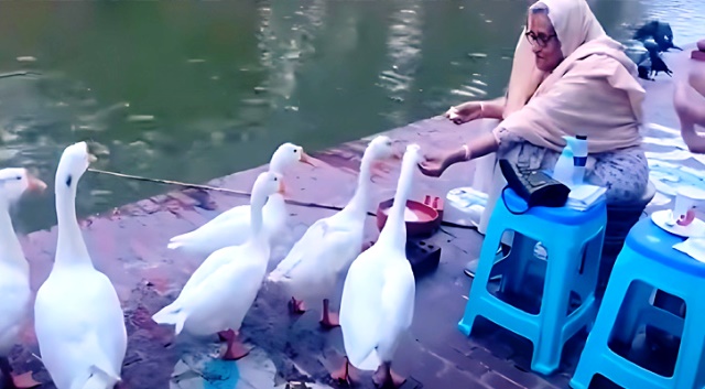 সংগৃহীত ছবি