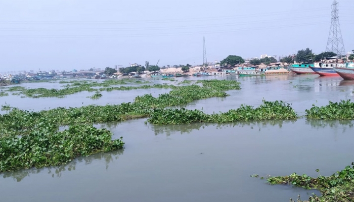 ছবি : সংগৃহীত