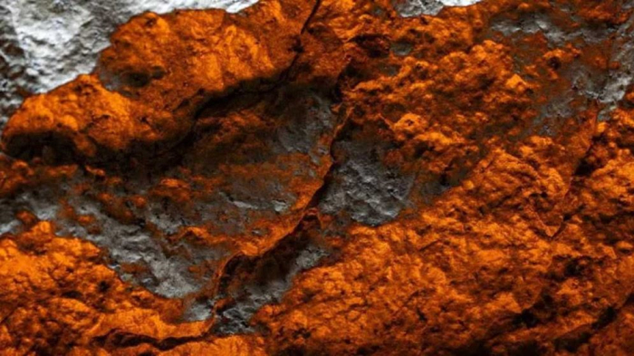 ছবি: সংগ্রহিত।