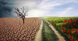 জলবায়ুর প্রভাব মোকাবিলায় পদক্ষেপ নেওয়া জরুরি জলবায়ুর প্রভাব মোকাবিলায় পদক্ষেপ নেওয়া জরুরি