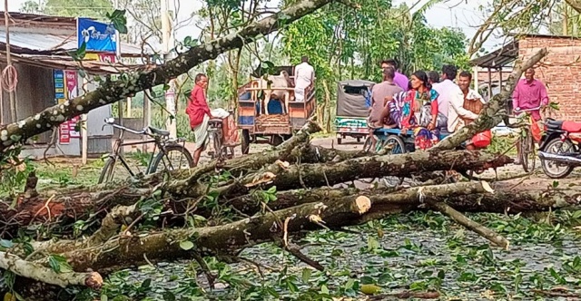 ফাইল ছবি