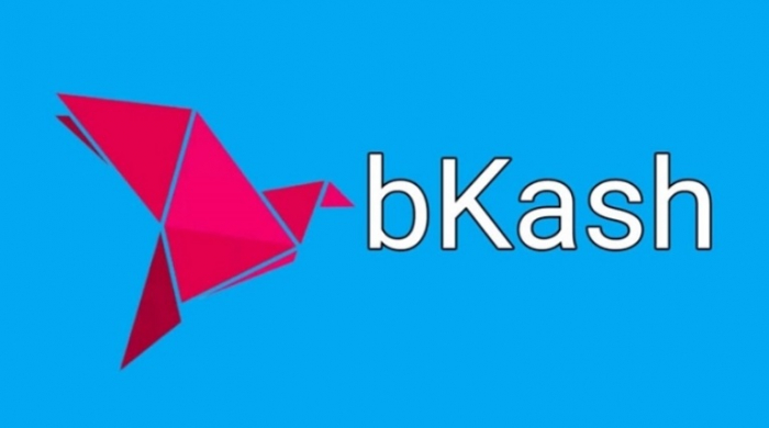 ফাইল ছবি