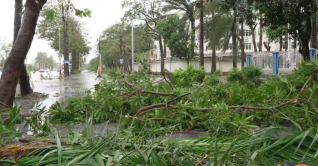 ভিয়েতনামে টাইফুন ‘বুয়ালোই’র তাণ্ডবে নারী-শিশুসহ নিহত ৮ ভিয়েতনামে টাইফুন ‘বুয়ালোই’র তাণ্ডবে নারী-শিশুসহ নিহত ৮