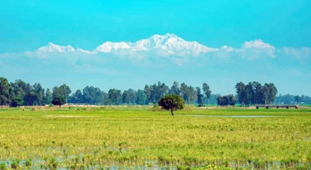 ফাইল ছবি