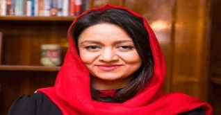 দুর্নীতিগ্রস্ত নেতারাই দেশকে ডুবিয়েছে, বললেন সাবেক রাষ্ট্রদূত