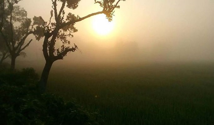 প্রতীকী ছবি।