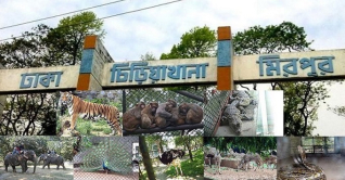 আজও ঢাকা চিড়িয়াখানায় মানুষের ব্যাপক ভিড়