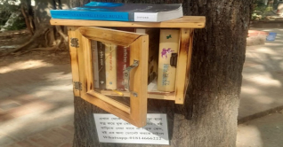 ধানমন্ডি লেকের পাড়ে গাছে গাছে ঝুলছে বুককেস! ধানমন্ডি লেকের পাড়ে গাছে গাছে ঝুলছে বুককেস!