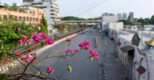 রাজধানী ফাঁকা, ভোটের টানে বাড়ি গেছে নগরবাসী