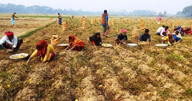 ফাইল ছবি