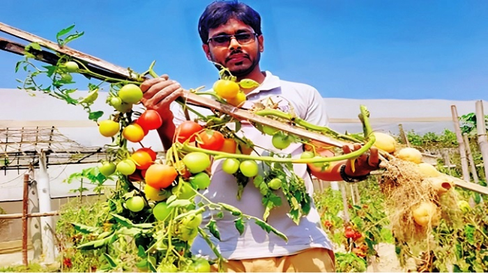 সংগৃহীত ছবি