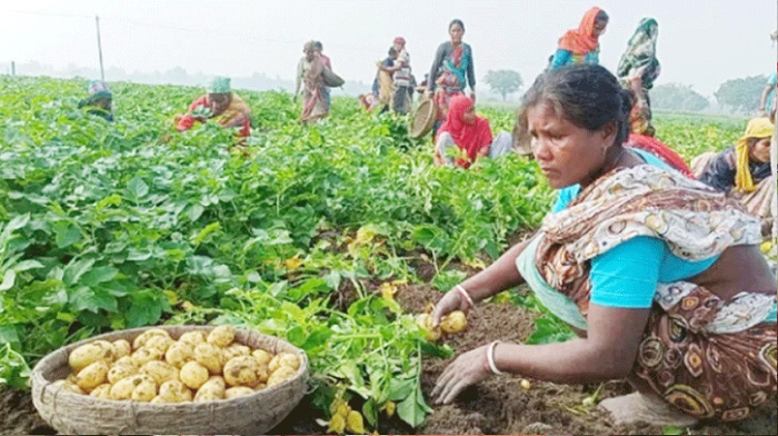 সংগৃহীত ছবি সংগৃহীত ছবি