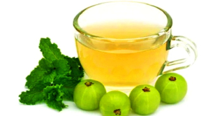 দ্রুত ওজন কমাতে ভরসা হতে পারে আমলকি চা দ্রুত ওজন কমাতে ভরসা হতে পারে আমলকি চা