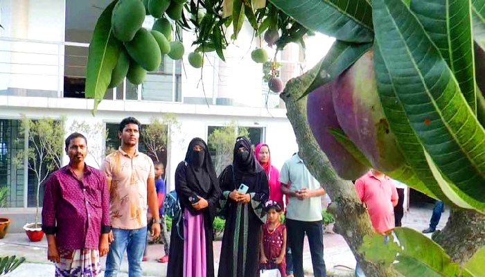 সংগৃহীত ছবি