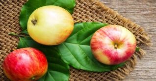 রোগমুক্ত জীবনের জন্য প্রতিদিন খান একটি আপেল রোগমুক্ত জীবনের জন্য প্রতিদিন খান একটি আপেল