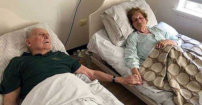 ছবি: ইন্টারনেট