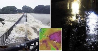 অস্ট্রেলিয়ায় ভয়াবহ বন্যায় রাস্তায় ঘুরছে কুমির, সেনা তলব অস্ট্রেলিয়ায় ভয়াবহ বন্যায় রাস্তায় ঘুরছে কুমির, সেনা তলব