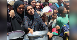 গাজায় ক্ষুধায় একদিনে ১৫ ফিলিস্তিনির মৃত্যু