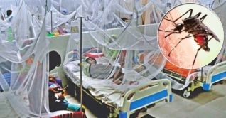 ডেঙ্গু আক্রান্ত আরও ১১২ জন হাসপাতালে ডেঙ্গু আক্রান্ত আরও ১১২ জন হাসপাতালে