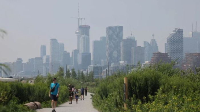 ফাইল ছবি।