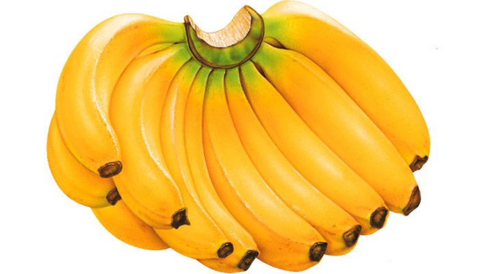 প্রতীকী ছবি।