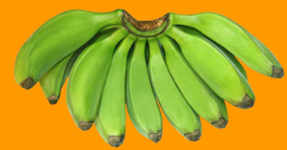 কাঁচকলার ঘন্ট রান্নার নিয়ম জেনে নিন