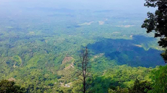 সংগৃহীত ছবি