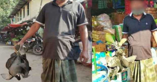 সারা দেশে অবাধে শিকার ও বিক্রি হচ্ছে শীতের পাখি সারা দেশে অবাধে শিকার ও বিক্রি হচ্ছে শীতের পাখি