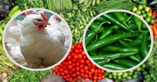 কাঁচা মরিচের ডাবল সেঞ্চুরি, দাম বেড়েছে ডিম-মুরগিরও কাঁচা মরিচের ডাবল সেঞ্চুরি, দাম বেড়েছে ডিম-মুরগিরও