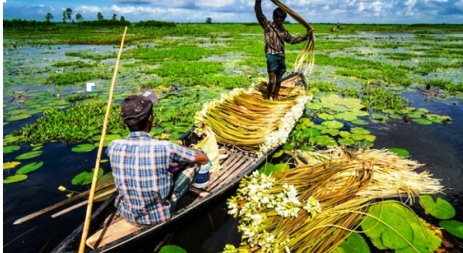 ফাইল ছবি