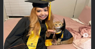 অনলাইন এ ক্লাস করে ‘গ্রাজুয়েট’বিড়াল অনলাইন এ ক্লাস করে ‘গ্রাজুয়েট’বিড়াল