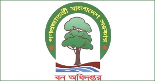 বন অধিদপ্তরে একাধিক চাকরির সুযোগ
