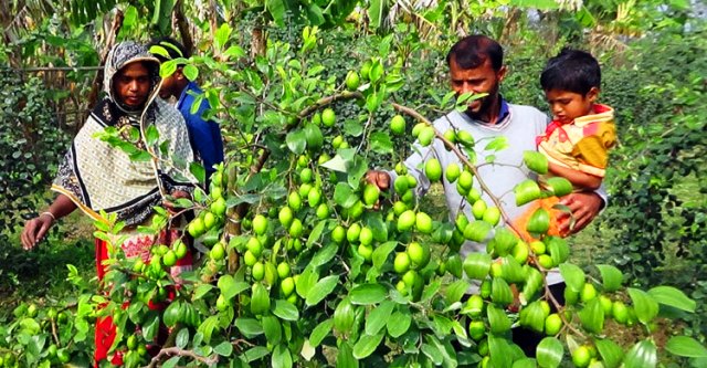 ফাইল ছবি